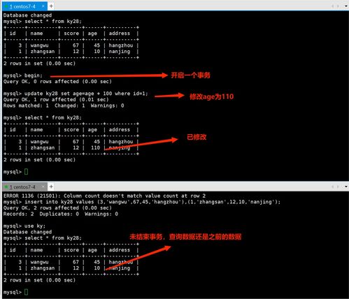MySQL數(shù)據(jù)庫事務與存儲引擎 數(shù)據(jù)處理與存儲的基石